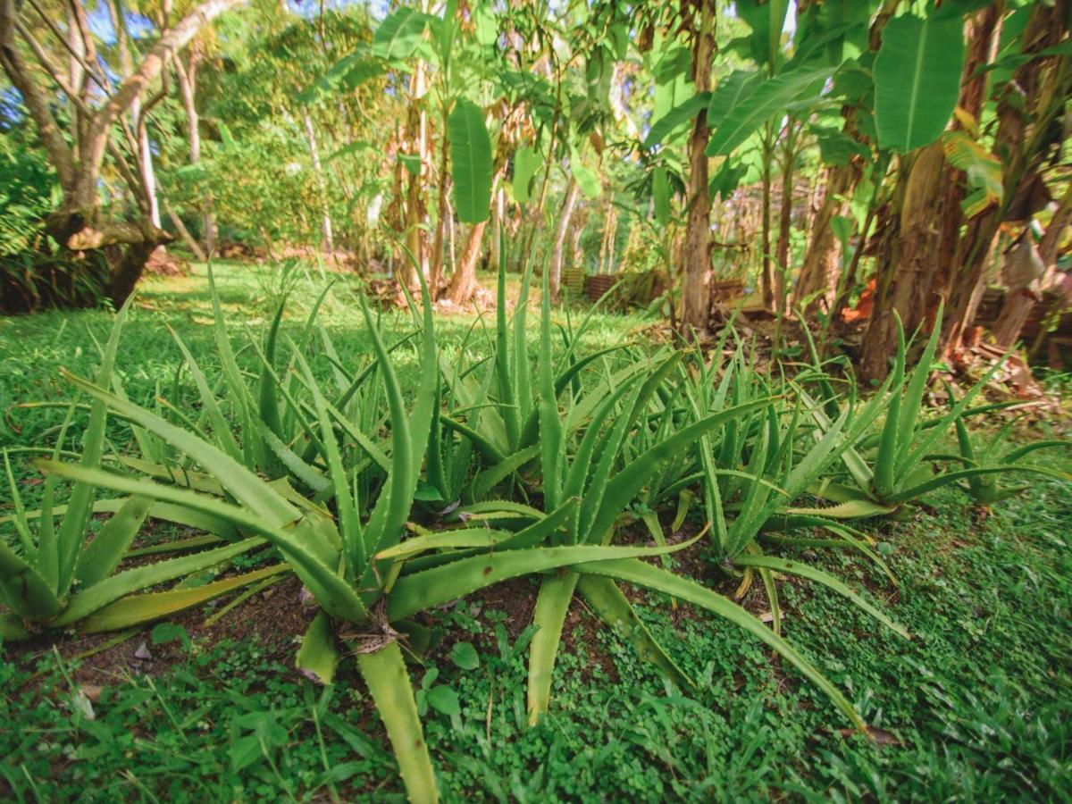 Thalpe Walawwa Heritage Villa Unawatuna Bagian luar foto